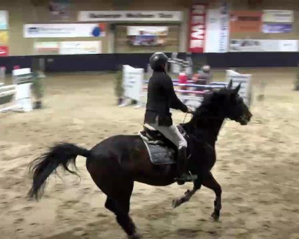 Hallenspringturnier Weilheim/Teck 2015