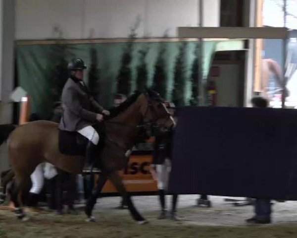 Hallenspringturnier Weilheim/Teck 2015