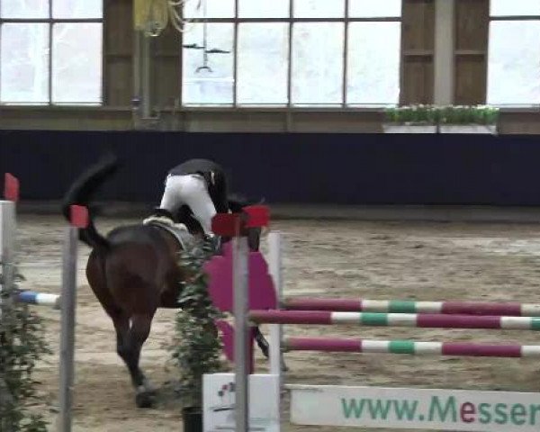 Hallenspringturnier Weilheim/Teck 2015