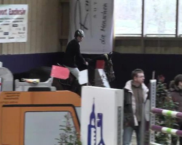 Hallenspringturnier Weilheim/Teck 2015
