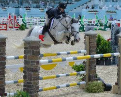 Springpferd Caballero 94 (Holsteiner, 2004, von Cassini II)