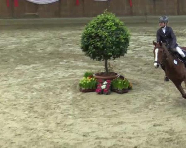 Spring-Event Goch 2015