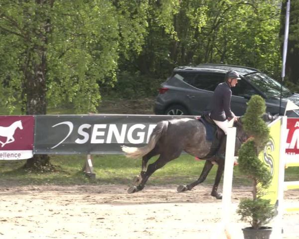 Hippisch Toernooi Niederbergheim 2026