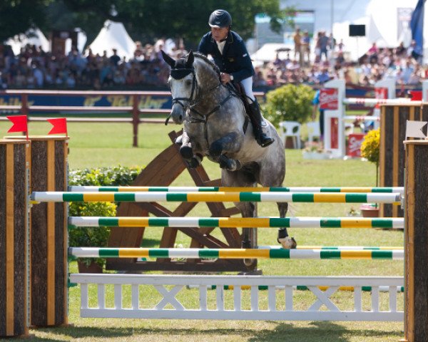 stallion Legolas (Holsteiner, 2003, from Lordanos) stallion Legolas (Holsteiner, 2003, from Lordanos)