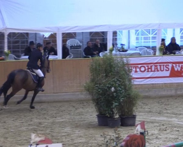 Rosendorf Classics 2015