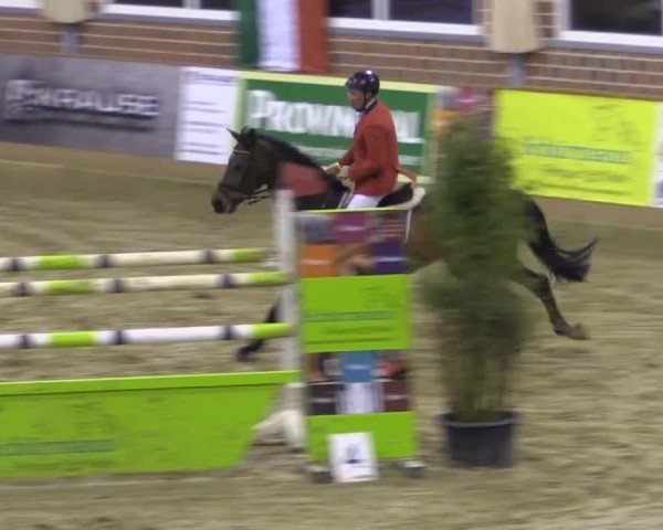 Rosendorf Classics 2015