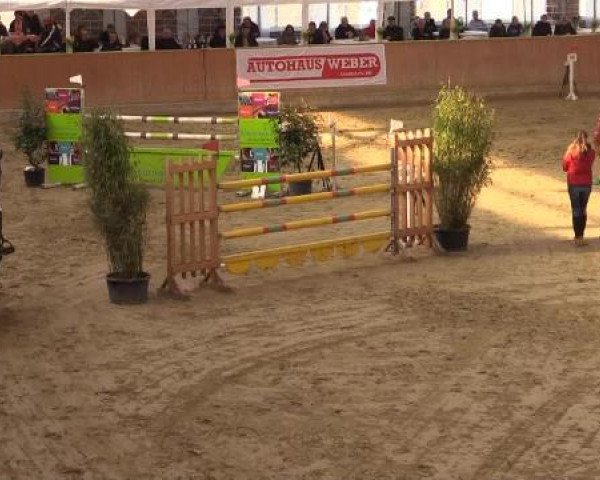 Rosendorf Classics 2015