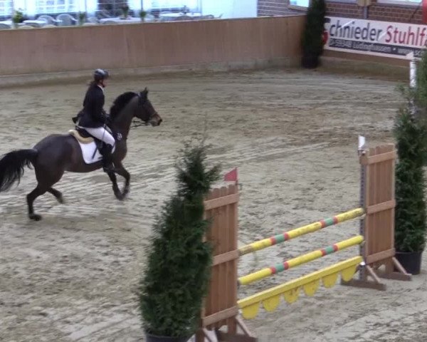 Rosendorf Classics 2015