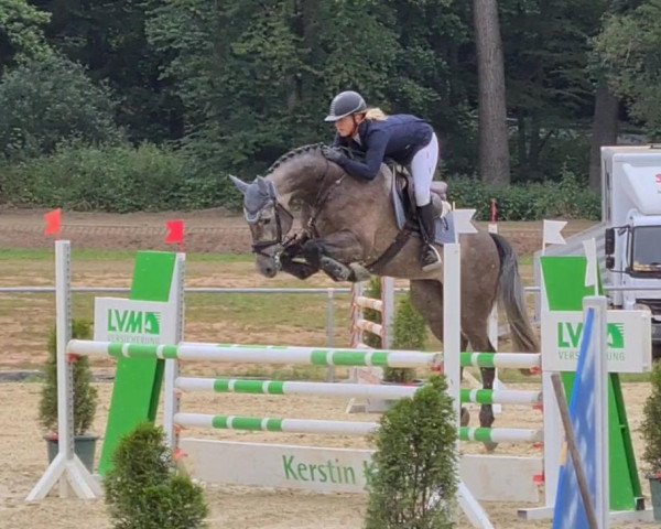 jumper Cracker Jack S (Holsteiner, 2015, from Clarimo Ask)