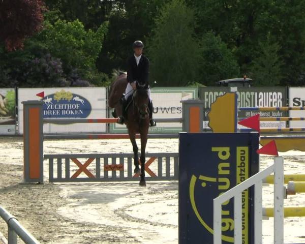 Equestrian Show Lentzke - Reitanlage Krehl 2026