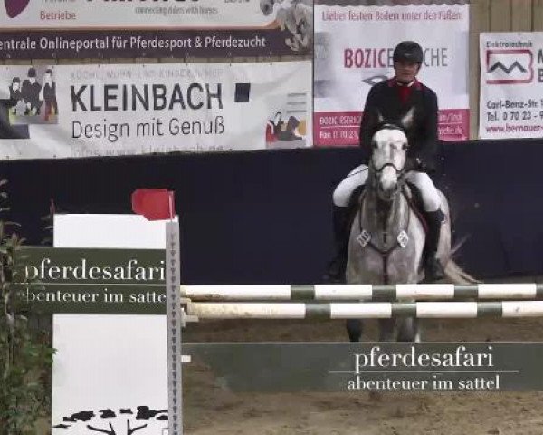 Hallenspringturnier Weilheim/Teck 2015