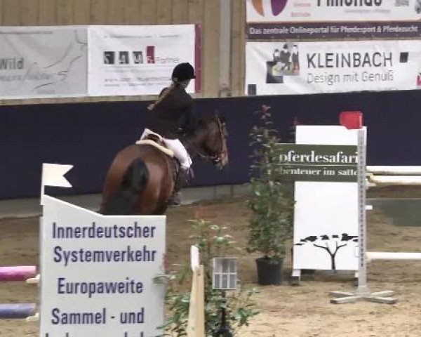 Hallenspringturnier Weilheim/Teck 2015