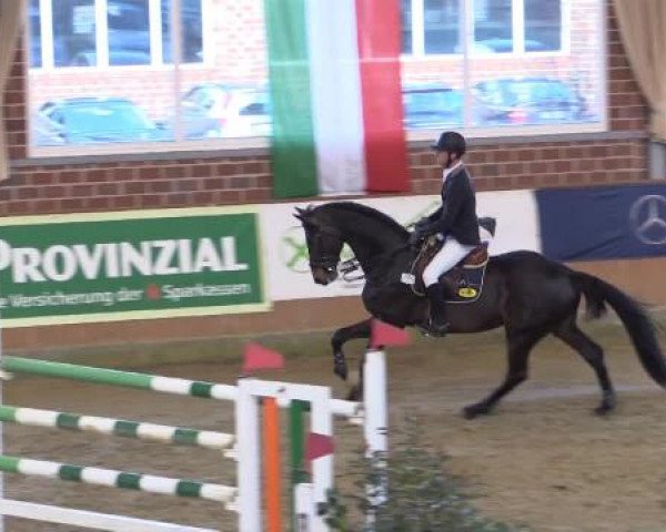 Rosendorf Classics 2015