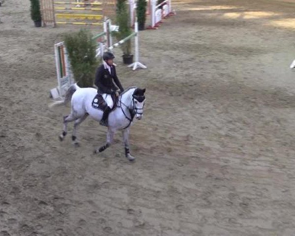Rosendorf Classics 2015