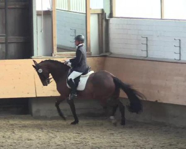 Alt Marl - Hallen-Late-Entry 2015