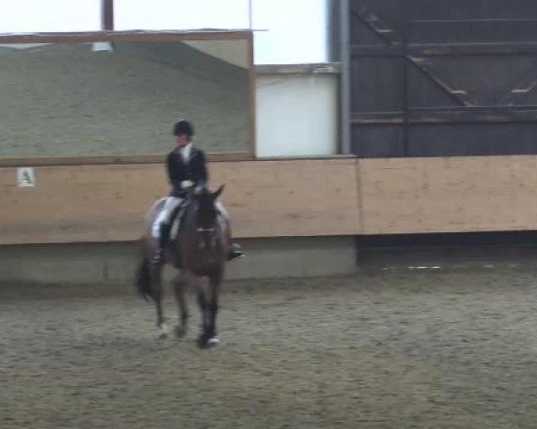 Alt Marl - Hallen-Late-Entry 2015