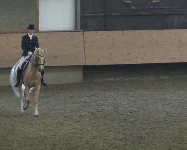 Alt Marl - Hallen-Late-Entry 2015
