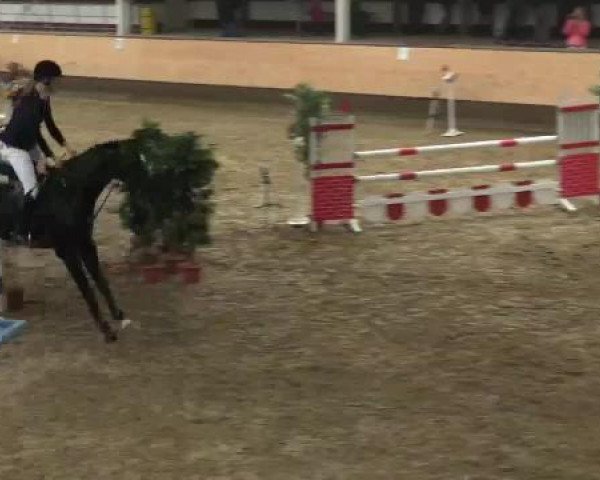 Alt Marl - Hallen-Late-Entry 2015