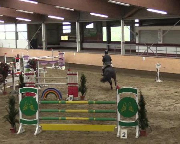 Alt Marl - Hallen-Late-Entry 2015