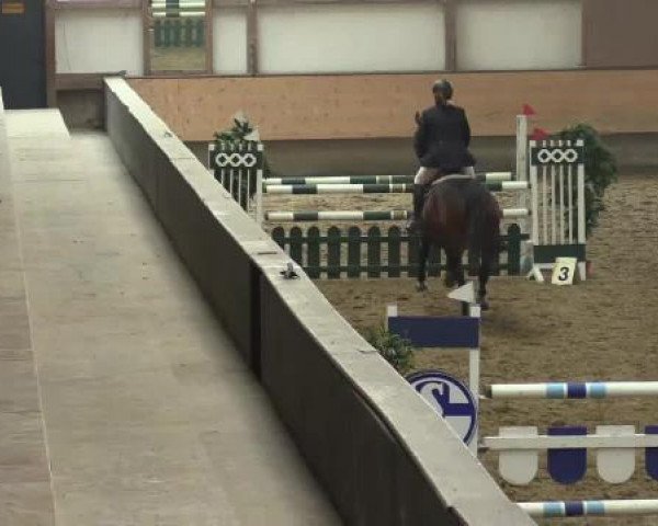 Alt Marl - Hallen-Late-Entry 2015
