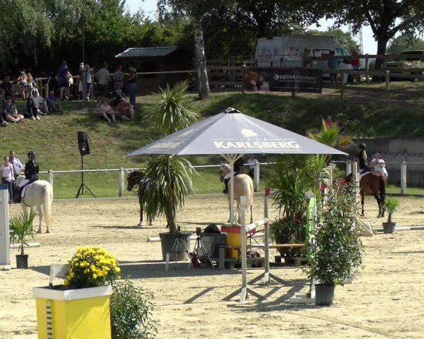 Reitturnier Reilingen 2021