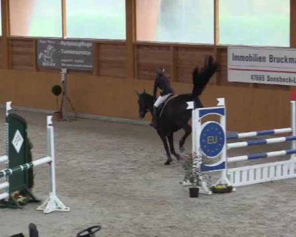 Hallenspringturnier Xanten - Reitanlage Miß 2015