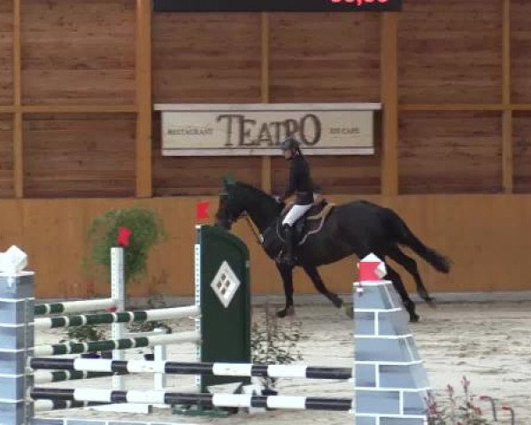 Hallenspringturnier Xanten - Reitanlage Miß 2015