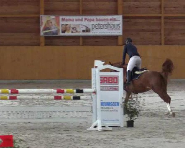 Hallenspringturnier Xanten - Reitanlage Miß 2015