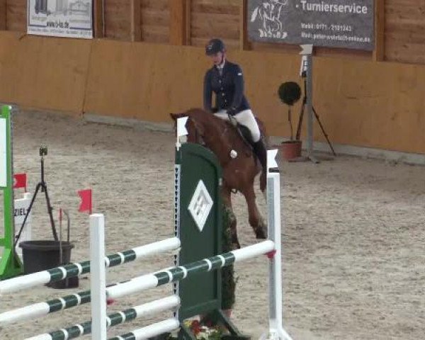 Hallenspringturnier Xanten - Reitanlage Miß 2015