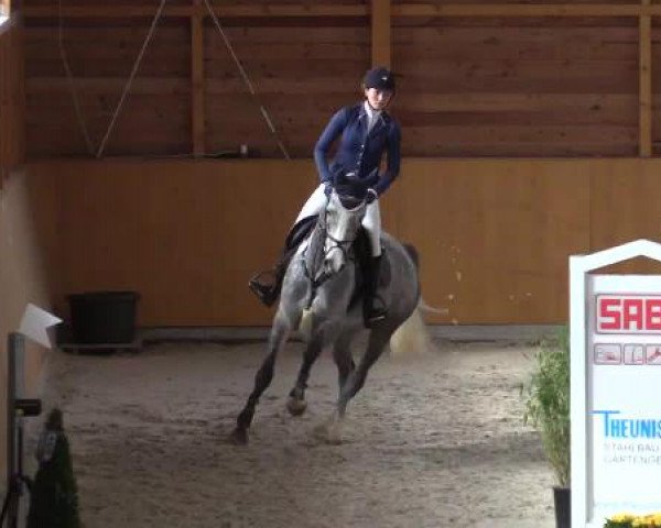 Hallenspringturnier Xanten - Reitanlage Miß 2015