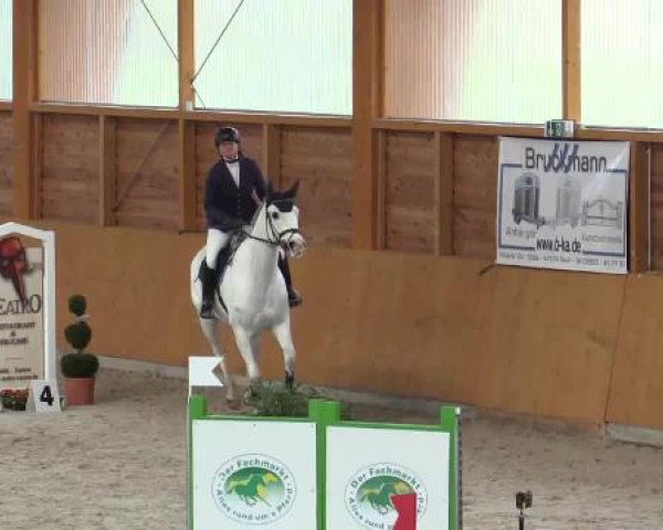 Hallenspringturnier Xanten - Reitanlage Miß 2015
