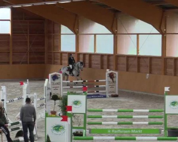 Hallenspringturnier Xanten - Reitanlage Miß 2015