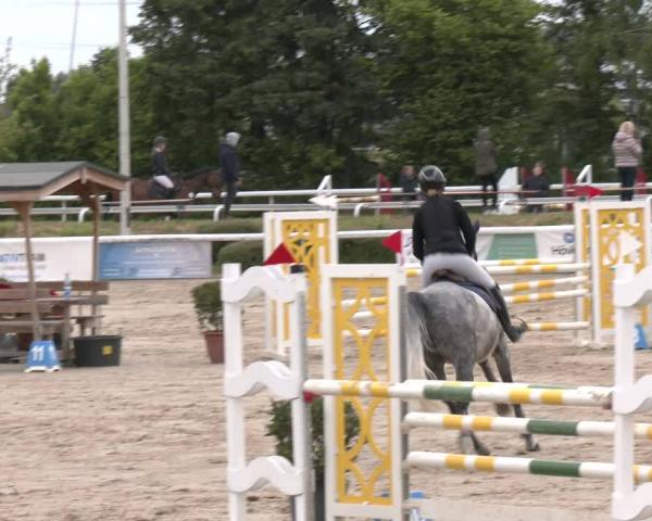 Reitturnier Bornheim-Widdig 2026