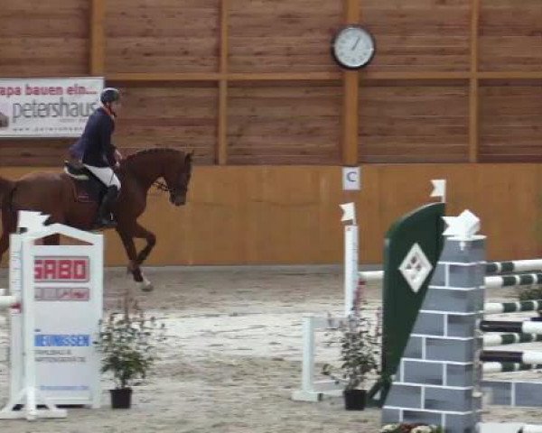 Hallenspringturnier Xanten - Reitanlage Miß 2015