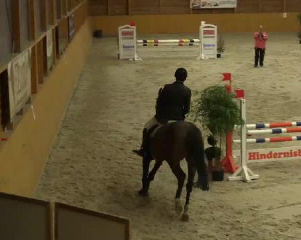 Hallenspringturnier Xanten - Reitanlage Miß 2015