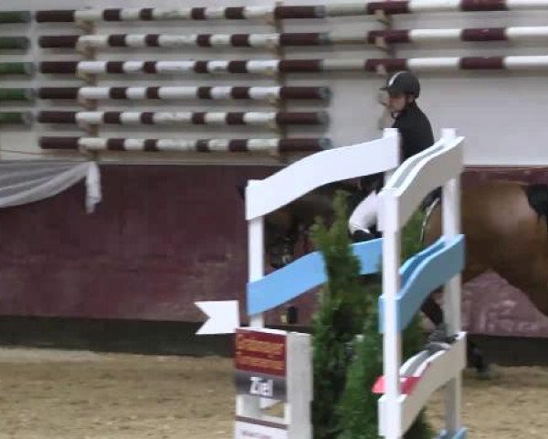 Springturnier Reiterhof Laurent 2015