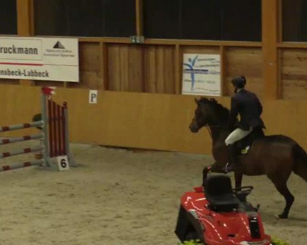 Hallenspringturnier Xanten - Reitanlage Miß 2015