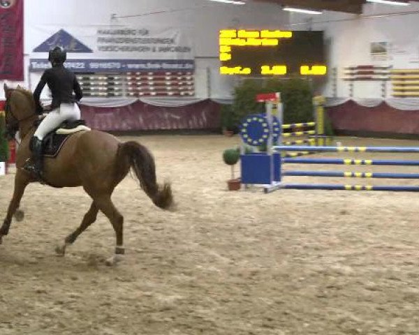 Springturnier Reiterhof Laurent 2015