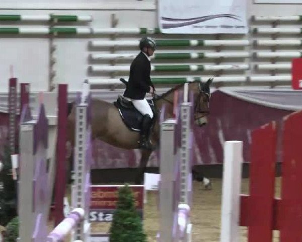 Springturnier Reiterhof Laurent 2015