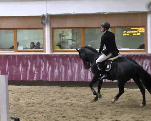 Springturnier Reiterhof Laurent 2015