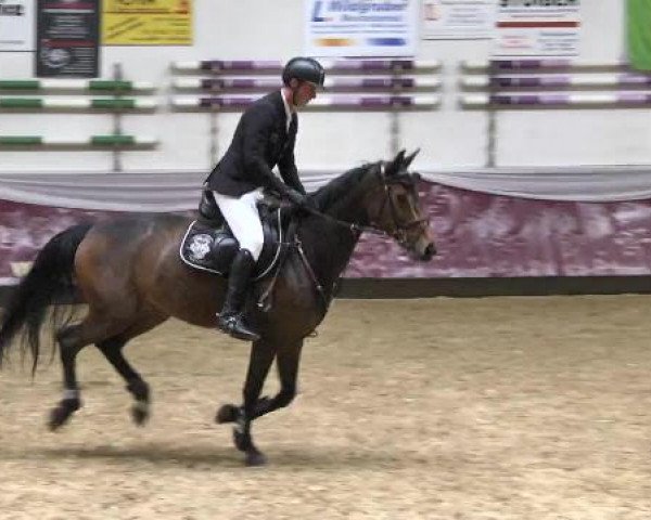 Springturnier Reiterhof Laurent 2015