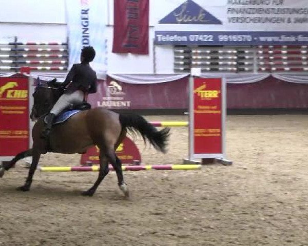 Springturnier Reiterhof Laurent 2015