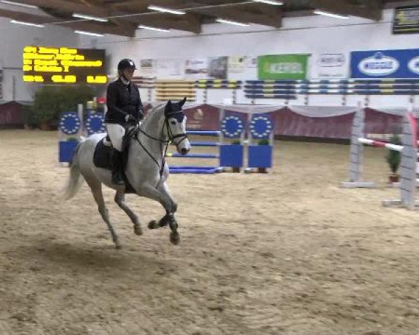 Springturnier Reiterhof Laurent 2015