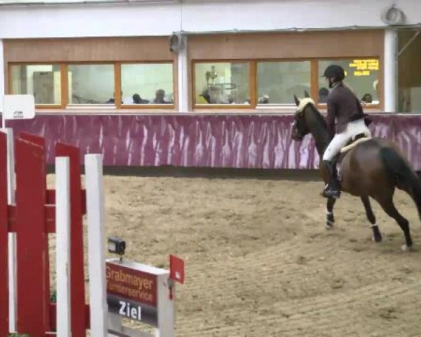 Springturnier Reiterhof Laurent 2015