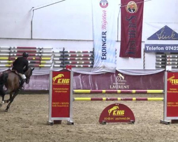 Springturnier Reiterhof Laurent 2015