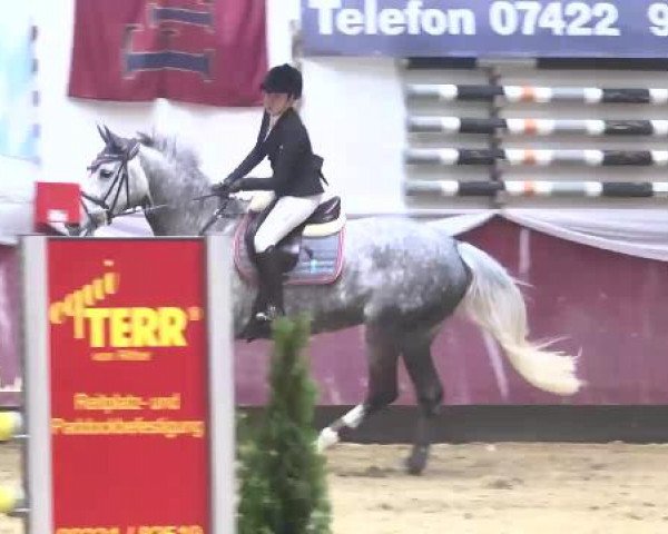 Springturnier Reiterhof Laurent 2015