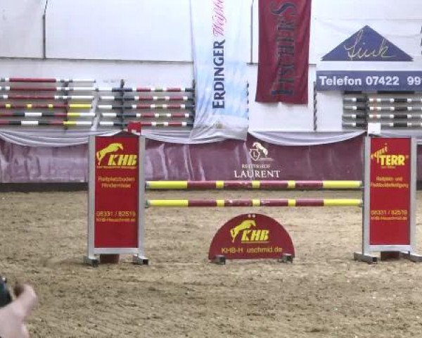 Springturnier Reiterhof Laurent 2015