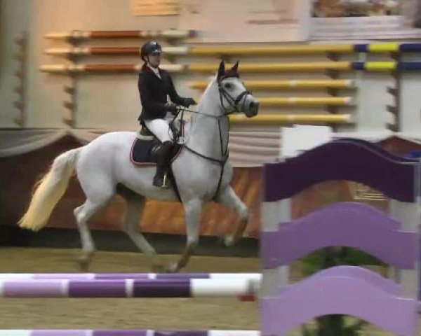 Springturnier Reiterhof Laurent 2015