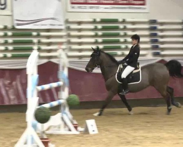 Springturnier Reiterhof Laurent 2015
