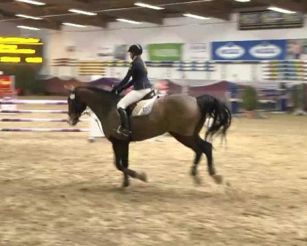 Springturnier Reiterhof Laurent 2015
